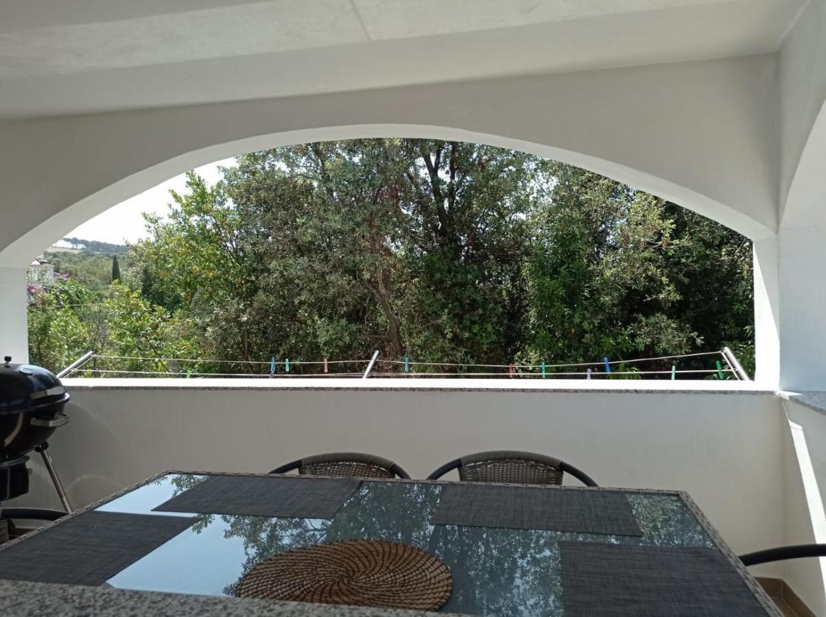 Apartament Ap Jurisic Bibinje Zewnętrze zdjęcie