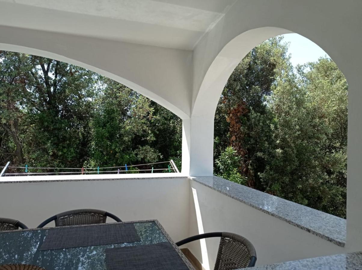 Apartament Ap Jurisic Bibinje Zewnętrze zdjęcie